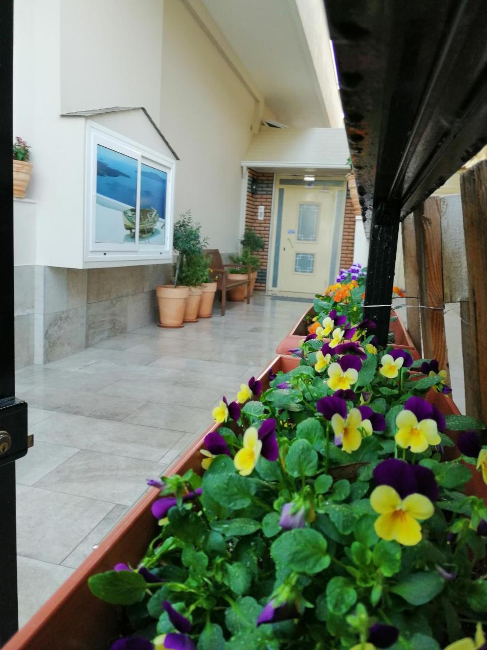 Giorgos Apartments Sea View Olympiakí Aktí Extérieur photo